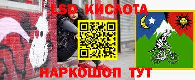 альфа пвп Заводоуковск