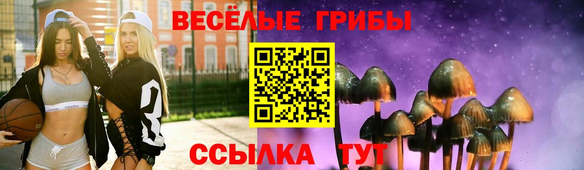 Карталы  Галлюциногенные грибы ЛСД  Вход с VPN 
